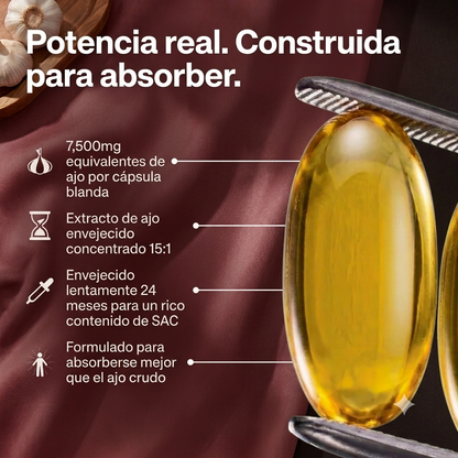 Extracto de ajo Envejecido 300 Capsulas